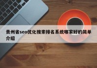 贵州省seo优化搜索排名系统哪家好的简单介绍